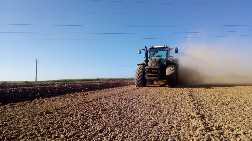 preparation du terrain pour plantation 